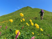PASSO-LAGO-RIF. BRANCHINO con ANTICIMA sud Corno Branchino (1917 m)-23giu25- FOTOGALLERY